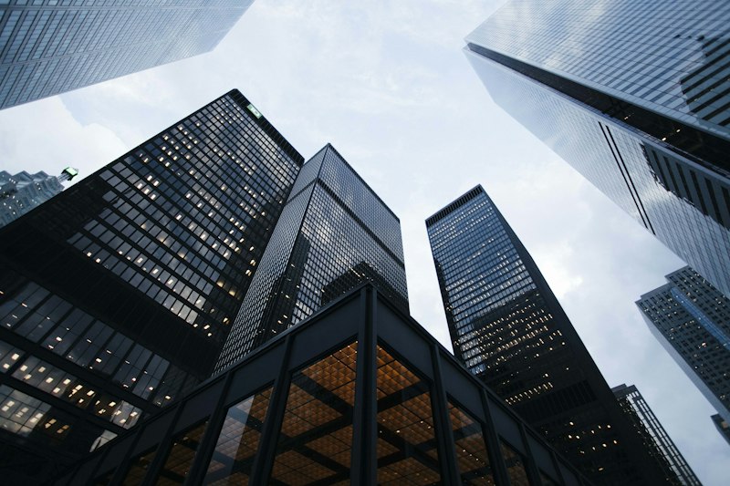 Executive P&L & Cashflow Models