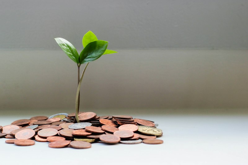 Personal Finance & Wealth Hubs
